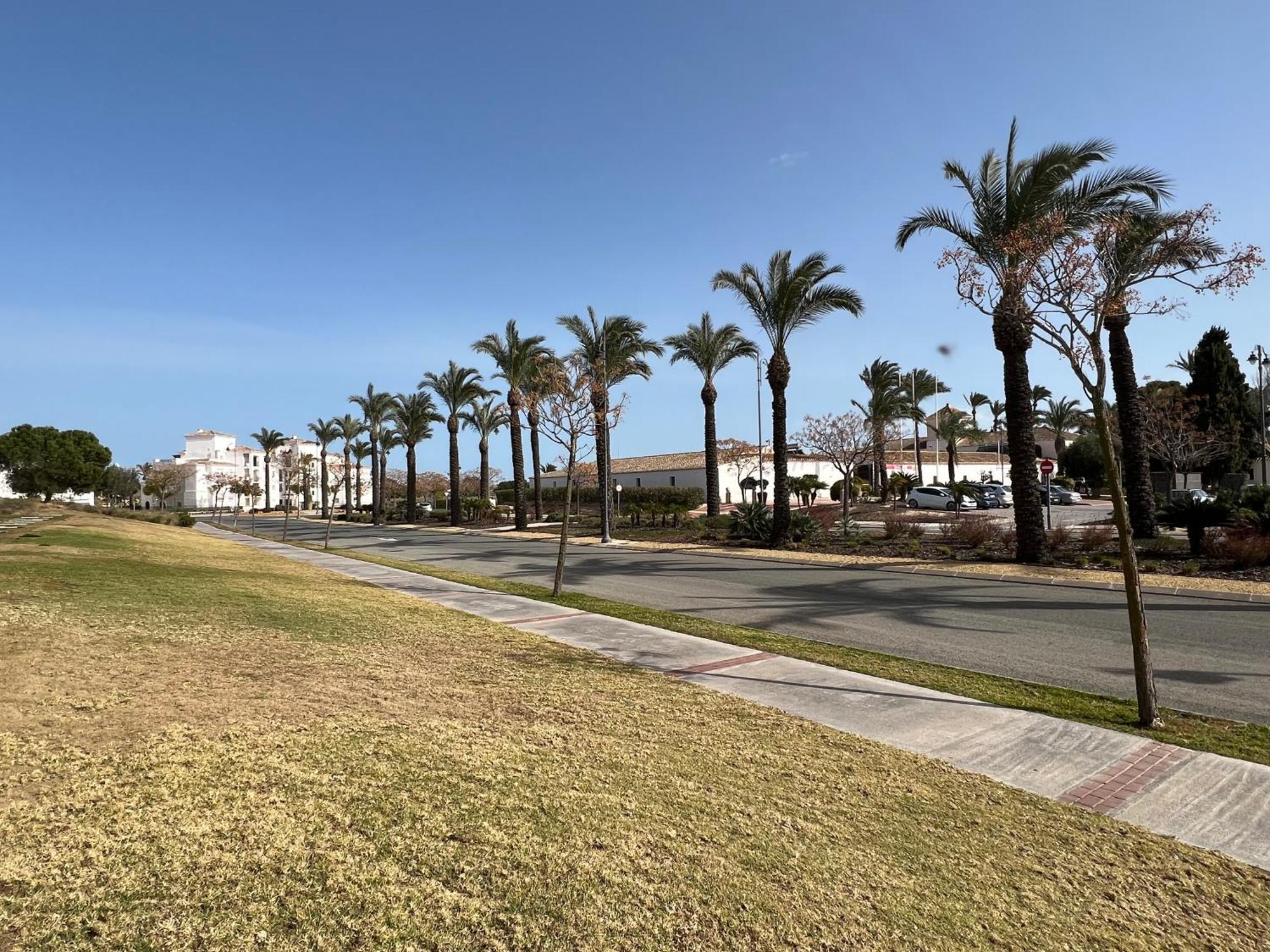 Apartment In Hacienda Riquelme Golf *